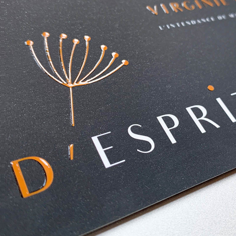 D'Esprit Libre Logotype